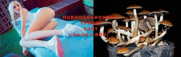 ALPHA-PVP Гусь-Хрустальный