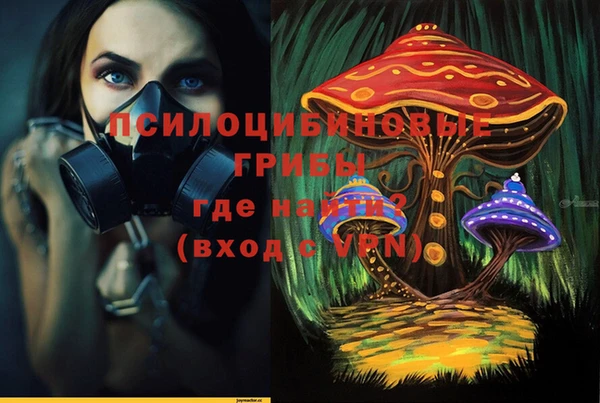 МДПВ Гусиноозёрск