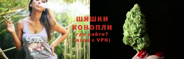 МДПВ Гусиноозёрск