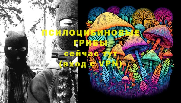 МДПВ Гусиноозёрск
