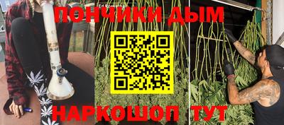 крисы Аргун