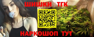 крисы Аргун