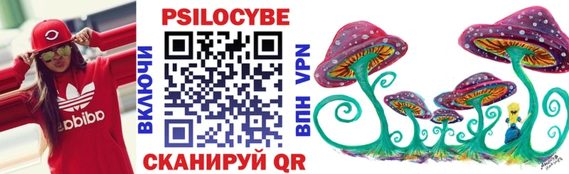 сколько стоит  блэк спрут рабочий сайт  Псилоцибиновые грибы Magic Shrooms  Нерюнгри 