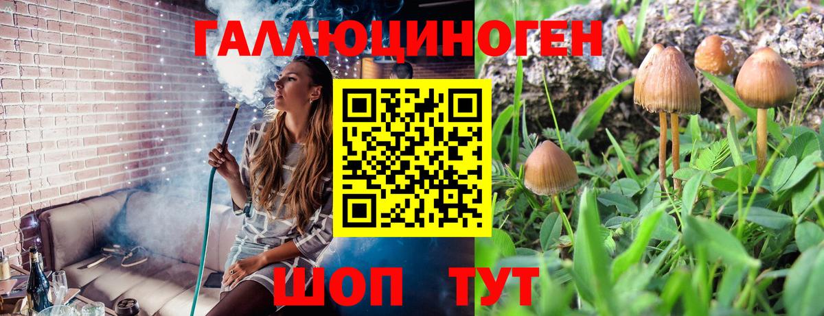 ТГК  ГАШИШ  ЭКСТАЗИ  Нерюнгри  НБОМе  Меф МЯУ МЯУ   Вход с VPN 
