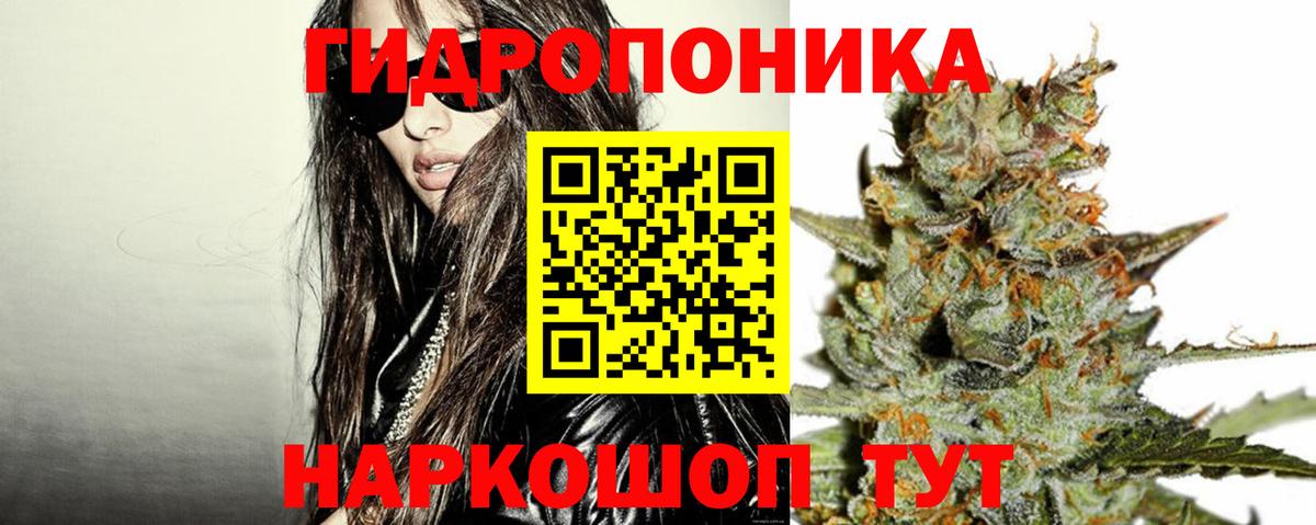 Каннабис SATIVA & INDICA Нерюнгри